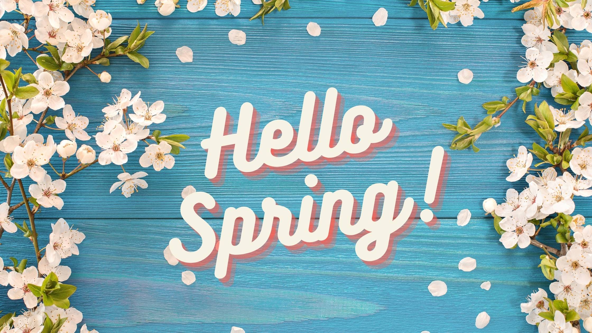 Hello Spring! Blühende Frühlingsgefühle